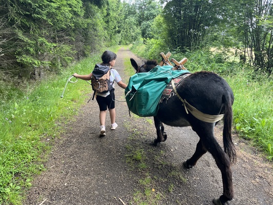 3 jours avec un âne en Auvergne - Pâques et Toussaint