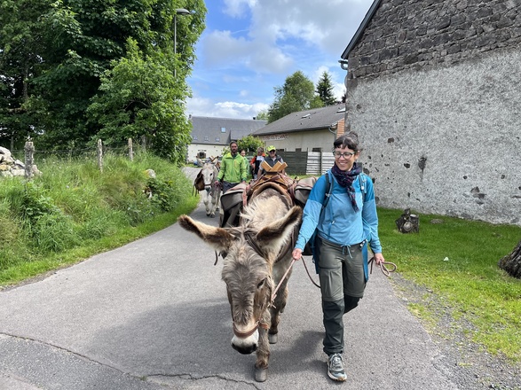 randonnée avec les ânes en Auvergne